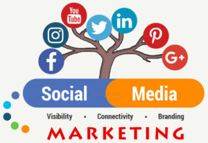 Digital Marketing Agency in Jaipur