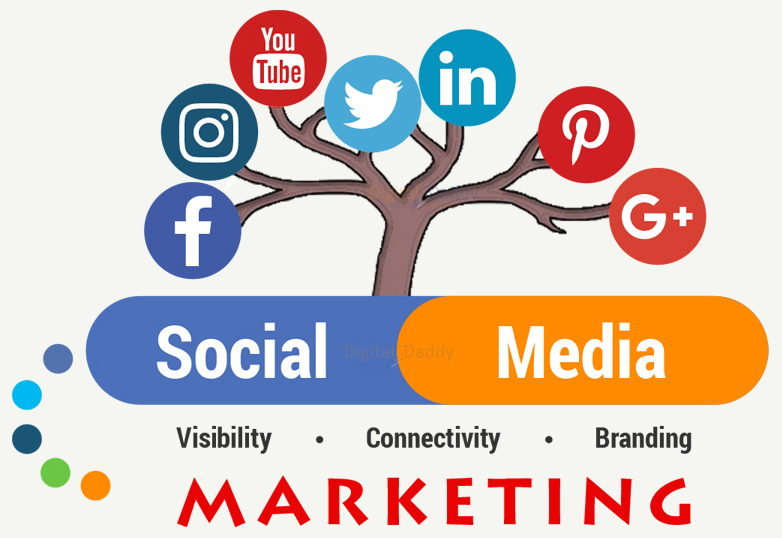 Digital Marketing Agency in Jaipur